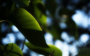 工具深度解析：原理与应用